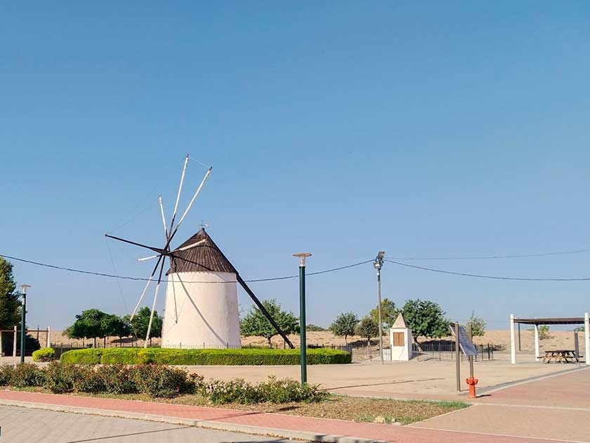 molino-torre-pacheco