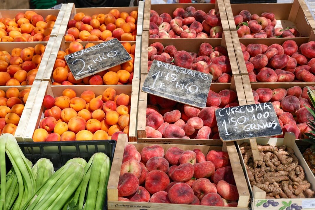 EXPORTACIONES FRUTAS